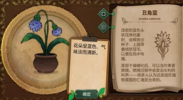 奇異園藝安卓中文版