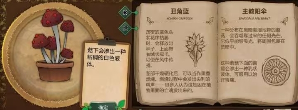 奇異園藝安卓中文版