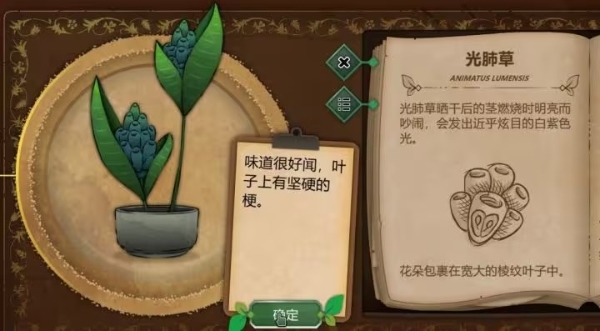 奇異園藝安卓中文版
