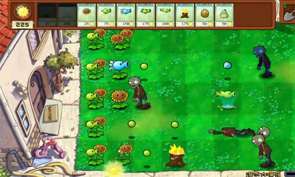 植物大戰僵尸拼接版