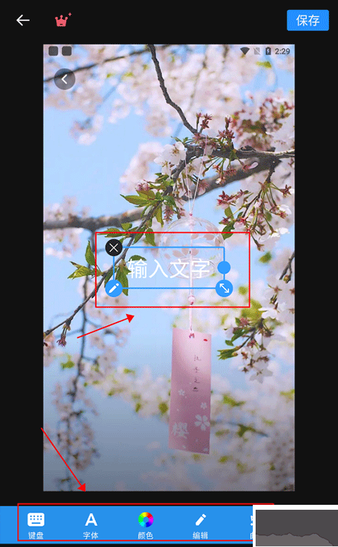 專業照片編輯器