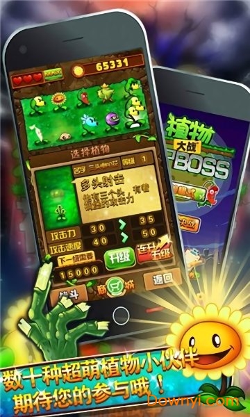 暴走向日葵 暴走向日葵