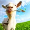 野生動物大作戰