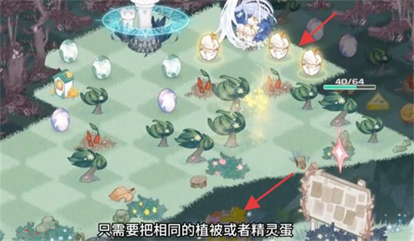 奇幻森林島2025