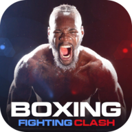 拳擊之夜4(Boxing - Fighting Clash)