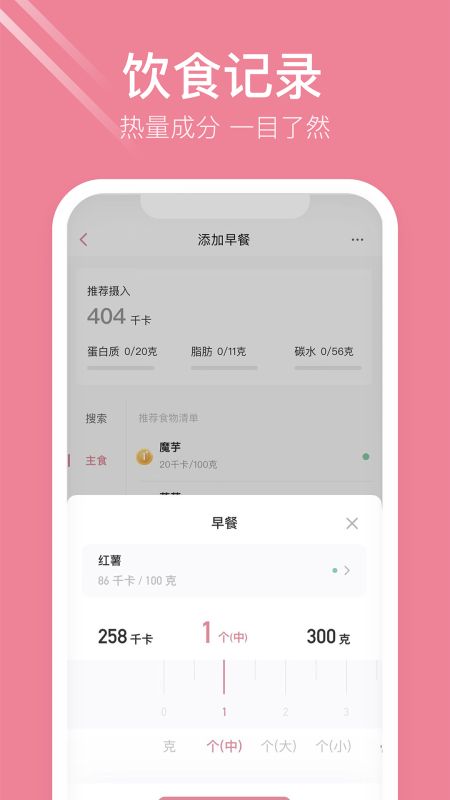 體重小本極速版