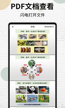 PDF閱讀器