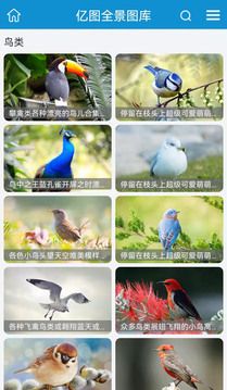 億圖