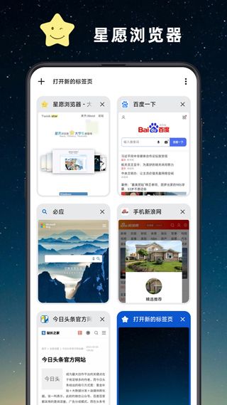 星愿瀏覽器(Twinkstar)