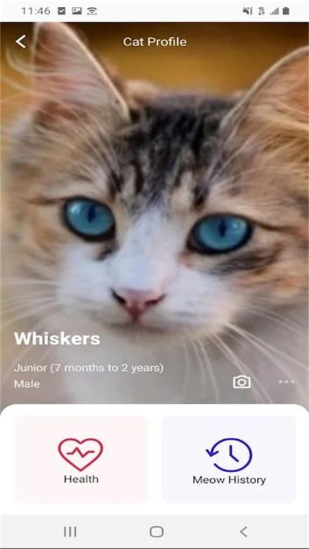 喵說meowtalk(MeowTalk)