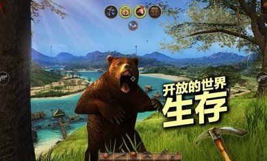 輻射島中文版
