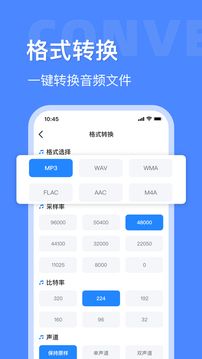 音頻大師