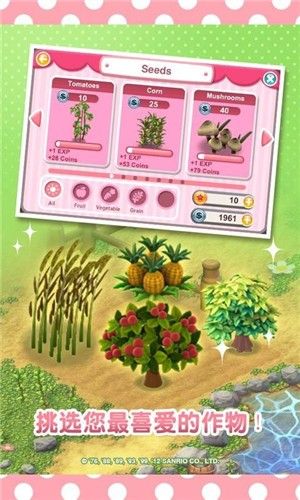 夢想花園
