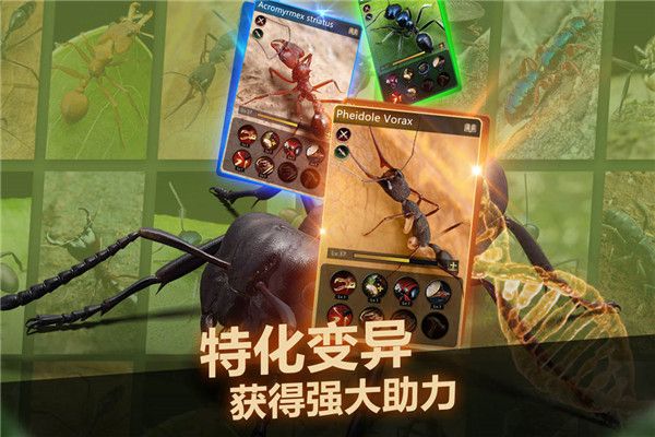 小小蟻國