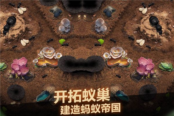 小小蟻國