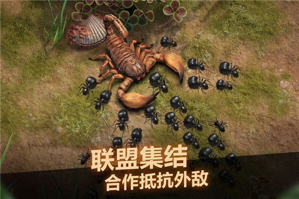 小小蟻國
