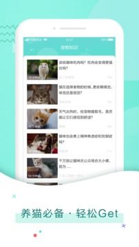 貓語翻譯器