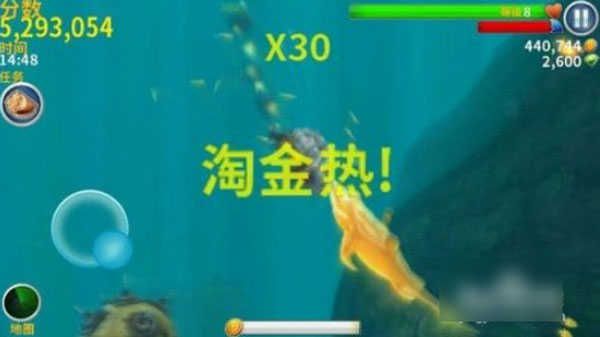 饑餓鯊進化內置功能菜單(Hungry Shark)
