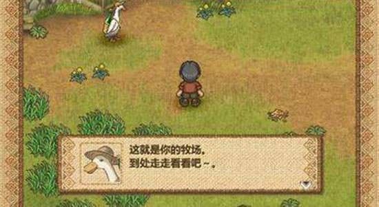 歡迎來(lái)到綿羊村
