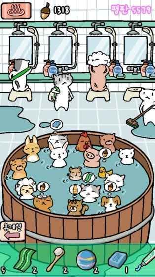 動物溫泉(Animal Hot Springs)