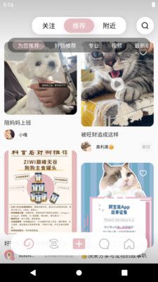 阿寶說