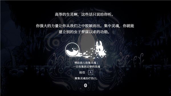 空洞騎士
