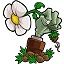 植物大戰僵尸東方版(PvZ)