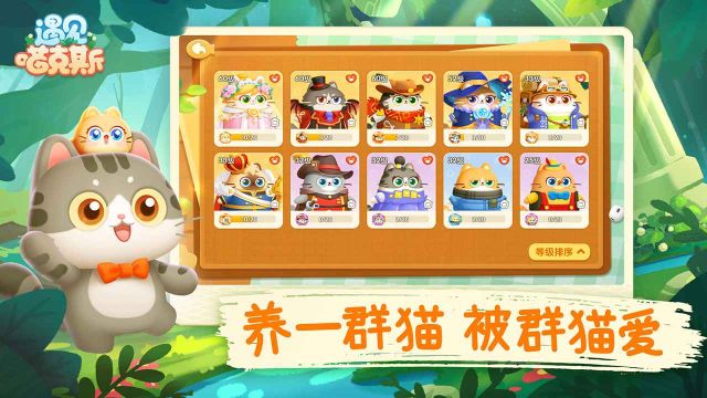 遇見喵克斯