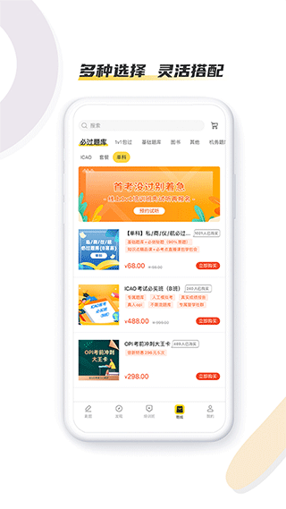 飛行之翼