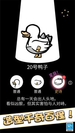 奇怪的鴨子