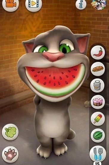 會說話的湯姆貓無廣告版(Talking Tom Cat)