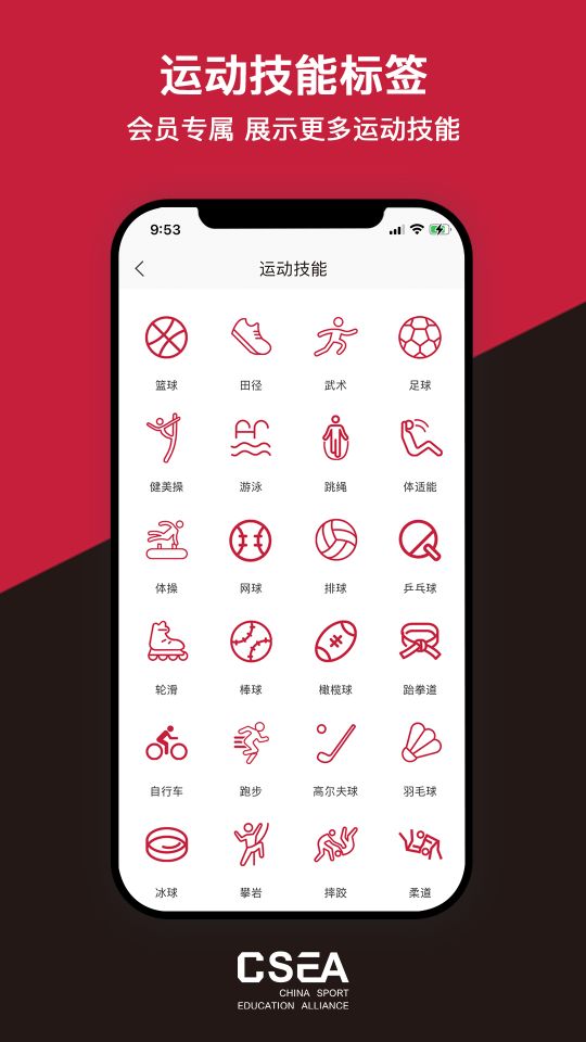 體教聯盟