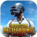 絕地求生手游國際服(PUBG MOBILE)