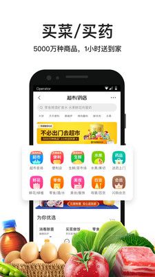拼好飯