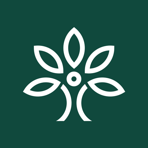 花枝鮮花