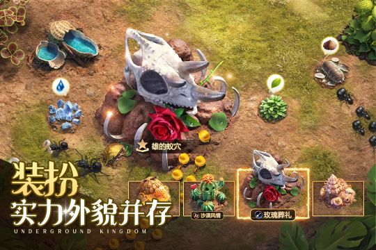 小小 蟻國九游版