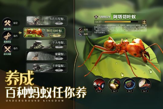 小小 蟻國九游版