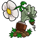 植物大戰僵尸lz重制版(lzscpvz)