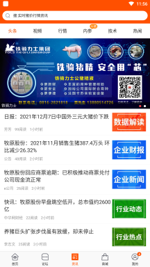 豬易通