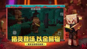 我的世界驚變100天