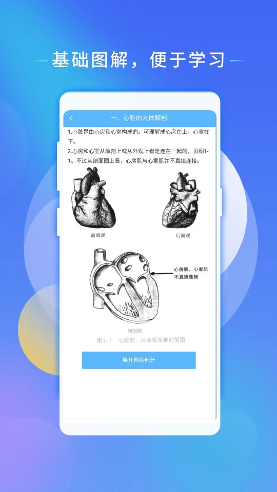心電助手