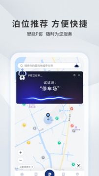 宜昌城市停車