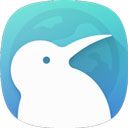 kiwi瀏覽器(Kiwi Browser...