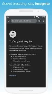kiwi瀏覽器(Kiwi Browser)