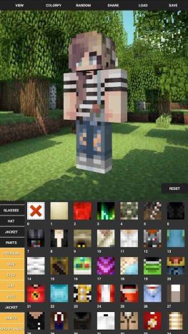 我的世界人物皮膚編輯器(Custom Skin Creator)