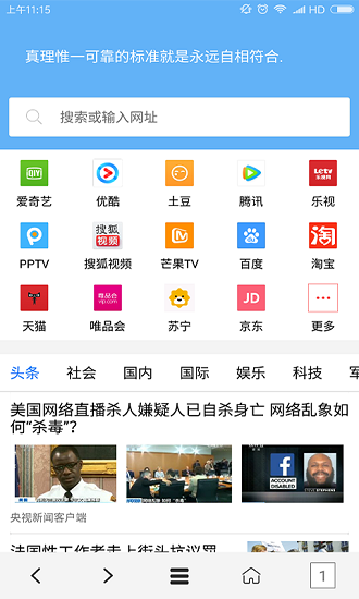vip瀏覽器