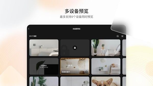 樂橙hd版