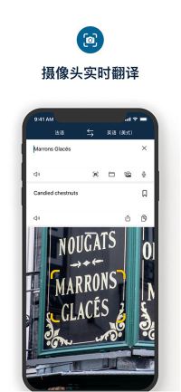 deepl翻譯器app(DeepL)
