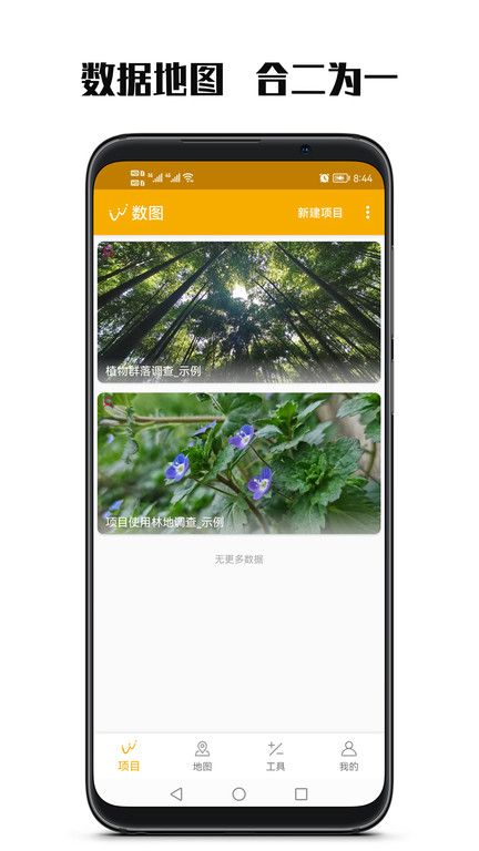 數圖