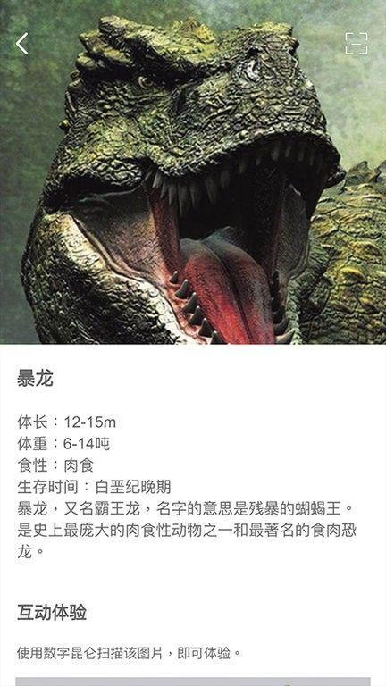 數字昆侖